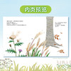 小天角 蒲公英为什么要飞起来？+谁在橡果上打洞？+落叶中的自然课 商品缩略图9