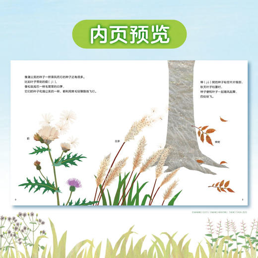 小天角 蒲公英为什么要飞起来？+谁在橡果上打洞？+落叶中的自然课 商品图9