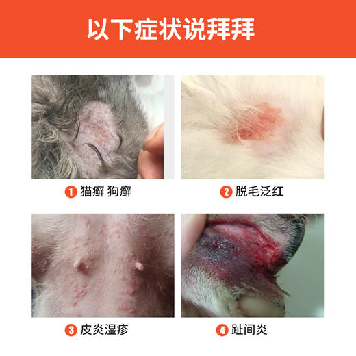 合宠复方酮康唑软膏猫藓专用药猫癣外用药狗癣皮肤病止痒真菌药膏 商品图2