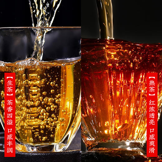 茶马世家 循雅普洱生熟双饼礼盒装 商品图3