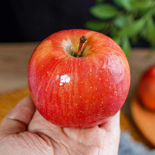 新疆阿克苏樱桃苹果     顺丰快递 商品图3