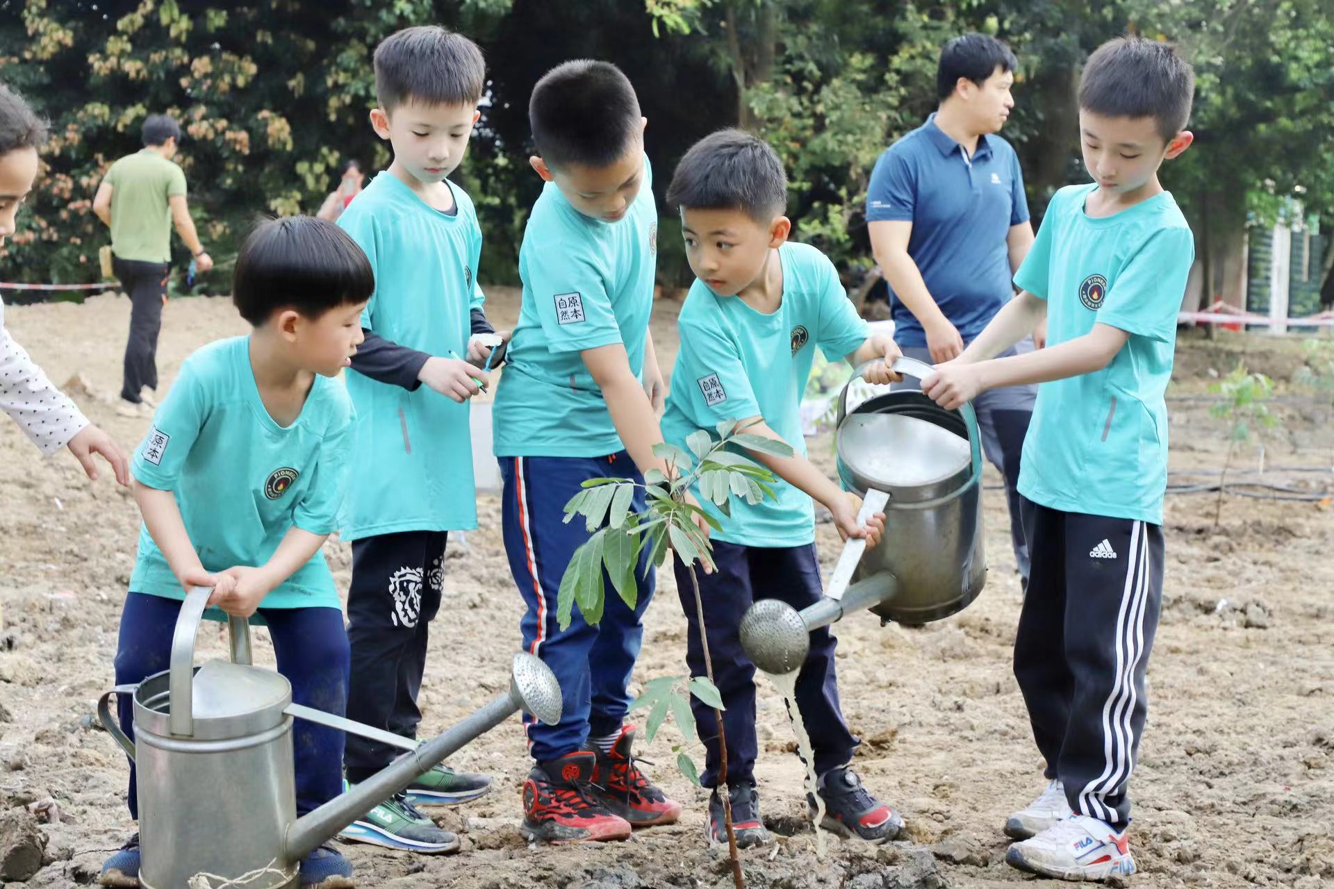 （月课包）2026春夏季先锋营系列课