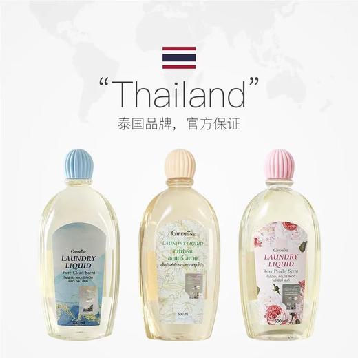 GIFFARINE芝芙莲内衣内裤清洗液女士专用内衣洗衣液500ml 商品图2