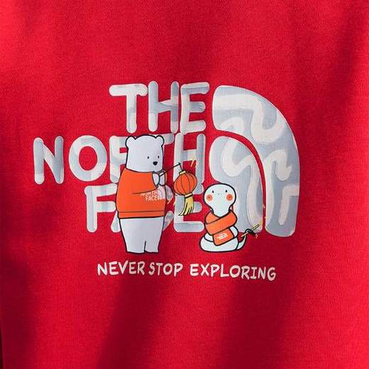 北面童装  印花连帽卫衣   8CFZ 商品图2