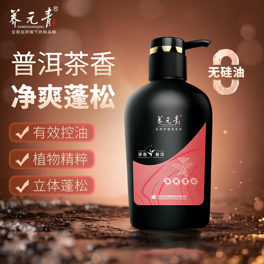 【官方正品】云南白药养元青生姜洗发露强根健发500ml普洱蓬松洗发水大瓶装植萃洗发水大瓶装无硅油 商品图1