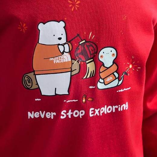 北面童装  长袖卫衣  8CFY 商品图2