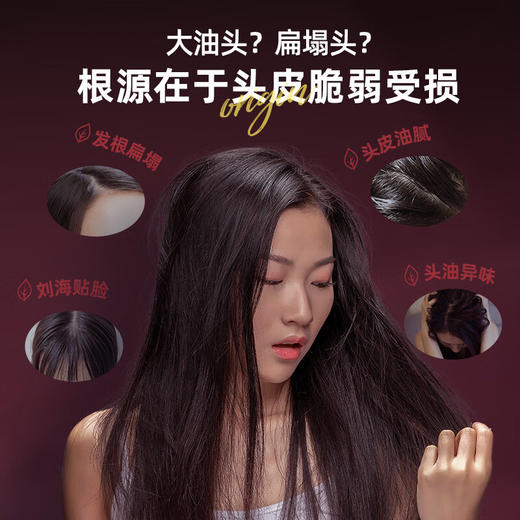 【白药精选】云南白药养元青茶香普洱净爽蓬松洗发露500ml茶叶植萃控油净爽温和不刺激 商品图5