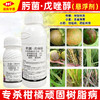 肟菌酯戊唑醇柑橘砂皮树脂病水稻纹枯稻瘟病小麦赤霉病杀菌剂正品 商品缩略图4
