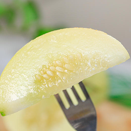 【现摘现发】当季新鲜云南郁金香小甜瓜 肉质丰厚 甜嫩多汁 清爽怡人 小香瓜 商品图1