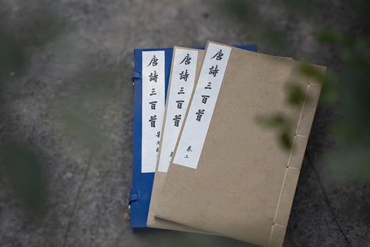 新书推荐 — 《唐诗三百首》 商品图1