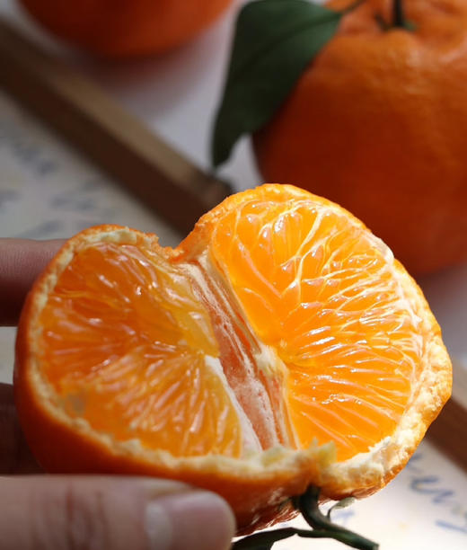 柑橘皇后明日见，果子硬度高，果肉紧实，汁水足，果香浓郁，9甜1酸！ 商品图0
