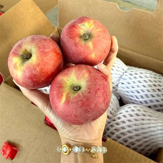 新疆阿克苏樱桃苹果     顺丰快递 商品图6