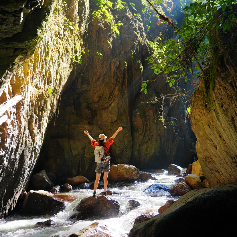 云南｜版纳秘境曼佤老寨2天1晚，曼佤老寨/章朗秘境/雨林溪谷瀑布徒步/独树成林/布朗民俗体验/日出云海/千年古寨佛寺！独家小众深度探索！