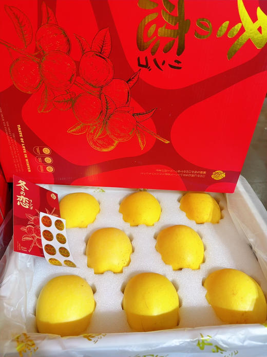 冬恋苹果（ 9个礼盒装）特级 商品图0