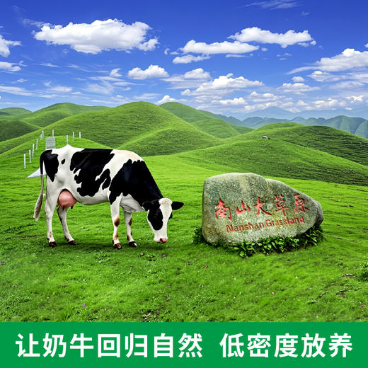 南山唯尊1888有机纯牛奶200Ml*12【XPTX】 商品图2