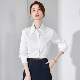IWY/新款白色长袖衬衫女气质通勤工装职业正装商务面试百搭内搭AB195