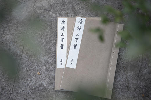 新书推荐 — 《唐诗三百首》 商品图7