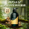 【官方正品】云南白药养元青生姜洗发露强根健发500ml普洱蓬松洗发水大瓶装植萃洗发水大瓶装无硅油 商品缩略图7