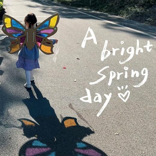 【赠安装视频】可穿戴美艺蝴蝶翅膀 镂空蝴蝶翅膀 光影游戏材料包 亲子互动 瓦楞纸板蝴蝶翅膀形状幼儿园学校表演手工DIY美术光影玻璃纸 商品图5