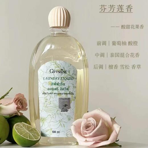 GIFFARINE芝芙莲内衣内裤清洗液女士专用内衣洗衣液500ml 商品图3