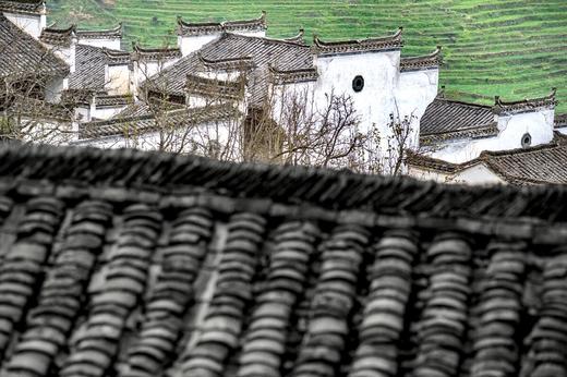 江西景德镇+婺源油菜花摄影5-7天 商品图5