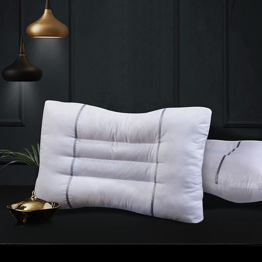 富安娜决明子香蒲草本对枕芯 70*45cm*2 商品图1