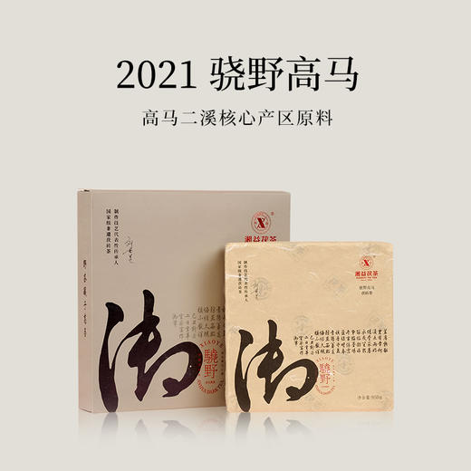 【会员日直播】湘益茯茶 黑茶 2021年 骁野高马 950g 商品图0