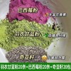 拓高【羽衣甘蓝➕巴西莓粉➕奇亚籽】各2盒【60g*盒（3g*20条）】 组合6盒装【周日不发货】 商品缩略图0