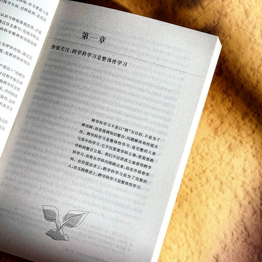 跨学科学习创意设计 中小学案例 课程治理现代化丛书 商品图7