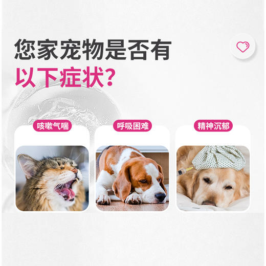 合宠乐贝欣盐酸贝那普利宠物猫狗心力衰竭高血压心肌脏病慢性肾病 商品图3