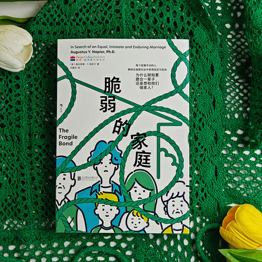 脆弱的家庭 《热锅上的家庭》作者力作！ 商品图5