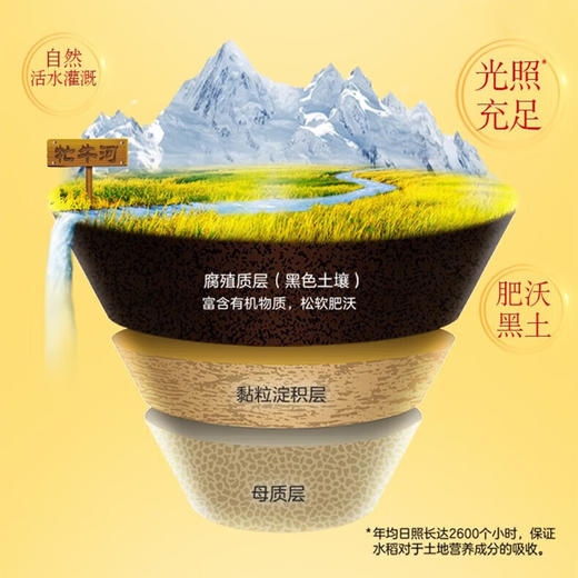 金龙鱼福鹿献瑞来五常大米 5kg 商品图1