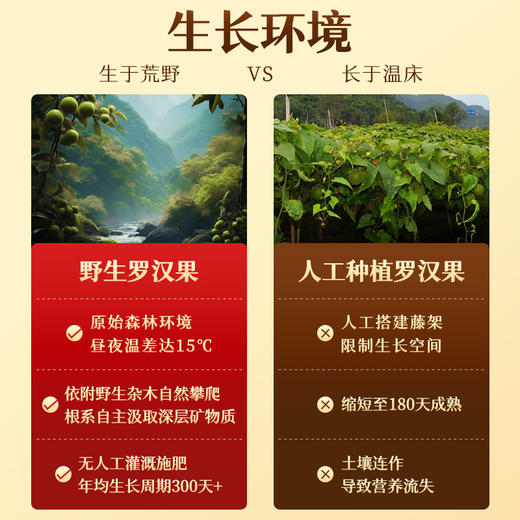 艺福堂野生罗汉果68g/袋（6颗装) 商品图5