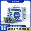 云南花香蓝莓  新鲜水果  大果 发京东陆运快递 商品缩略图0