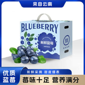 云南花香蓝莓  新鲜水果  大果 发京东陆运快递