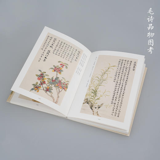 毛诗品物图考 商品图2