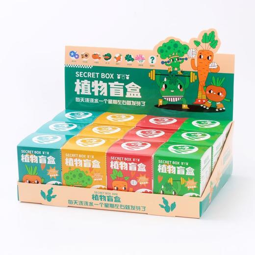 【10盒限定植物盲盒】小学生DIY创意蛇年盆栽迷你桌面绿植 儿童礼物 种植吧春天植物 商品图6