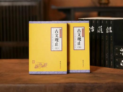 《白话全本资治通鉴》(全套12册)全本无删减、翻译权威,下单赠送价值60元的国学经典《古文观止》（上下两册）。 商品图6