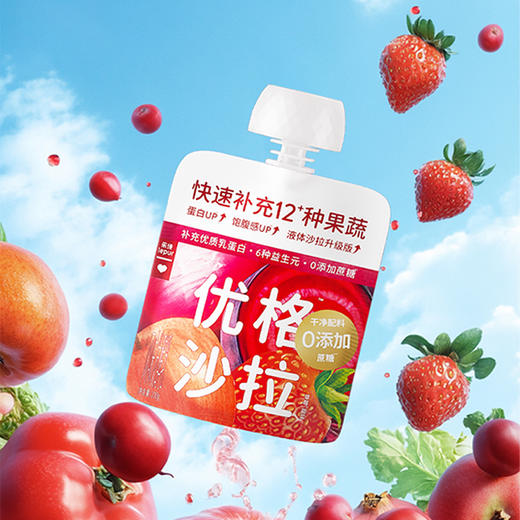 乐纯优格沙拉酸奶|12种蔬果+6种益生元+100亿活菌，0蔗糖纯净配料 商品图2