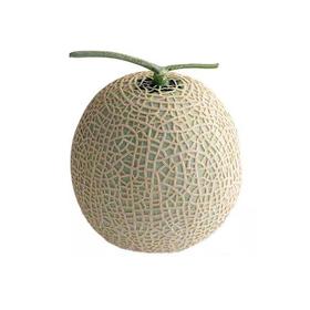 网纹瓜（1400±100g)甜瓜香瓜