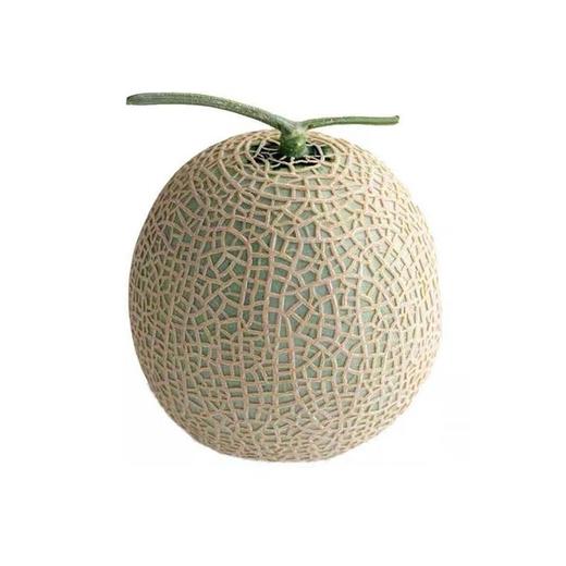 网纹瓜（1400±100g)甜瓜香瓜 商品图0