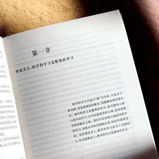 跨学科学习创意设计 中小学案例 课程治理现代化丛书 商品图8