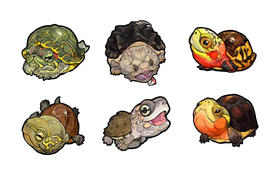 冰箱贴 龟主题① 磁吸 Q版 卡通 水龟半水龟 爬宠爬虫周边 super rep超爬正版【48小时发货】