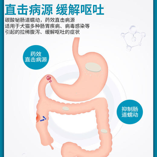 合宠碱式碳酸铋片强力止泻片宠物狗狗猫肠胃炎软便腹泻拉稀便血 商品图4