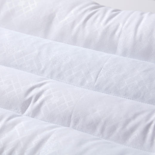 富安娜决明子香蒲草本对枕芯 70*45cm*2 商品图3