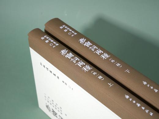 《梦窗词两种》（全二册）| 古籍影印 繁体竖排 三书分藏三地 shou次合璧彩色影印 商品图3