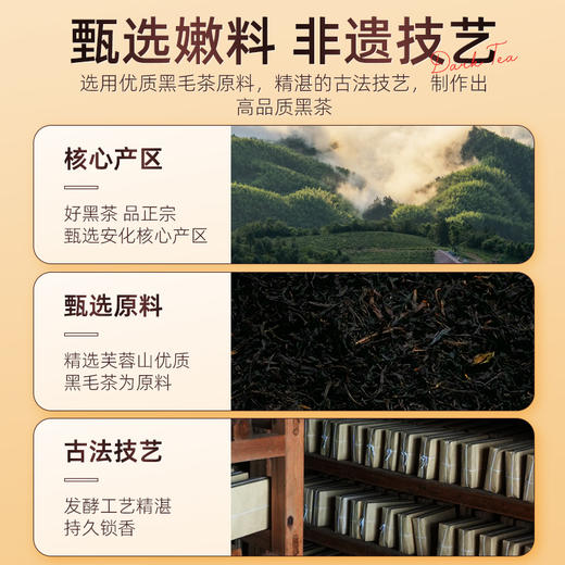 茶马世家湖南安化黑茶正品2013年散装茯砖颗粒200g 商品图1