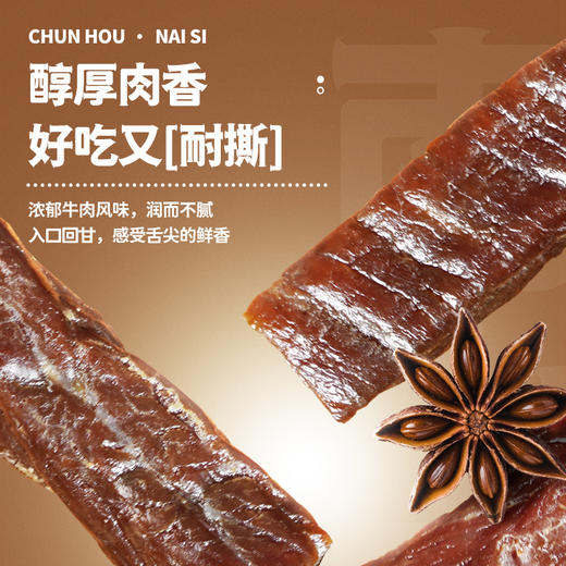 南山汇牛风干牛肉（原味）100g*2包【XPTX】 商品图2