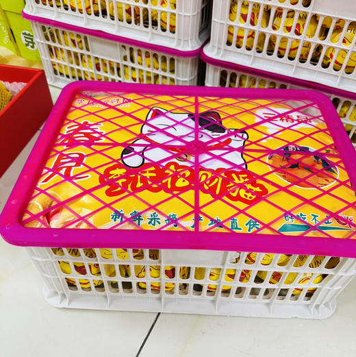 招财猫春见 商品图2