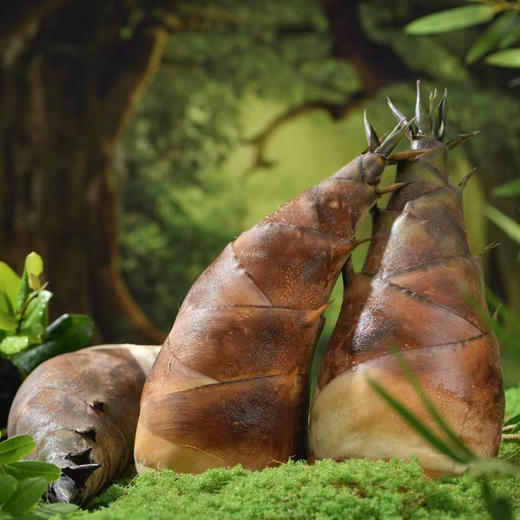 有机七彩云南曼玉笋 2斤（250g/袋*4袋） 商品图1